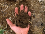 Well ammended soil